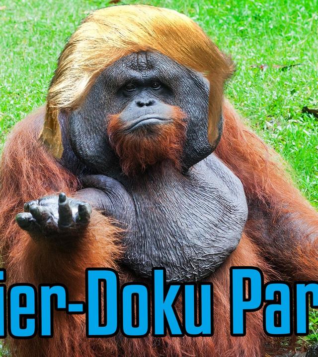 Das gemeine Trump - eine Tierdoku [Sketch Plus]