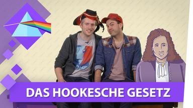 Das Hookesche Gesetz - Physik musstewissen
