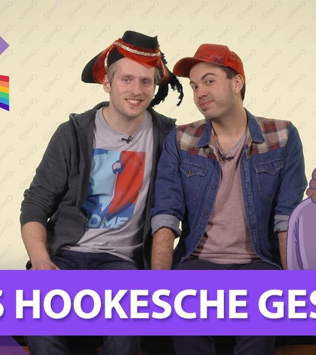 Das Hookesche Gesetz - Physik musstewissen