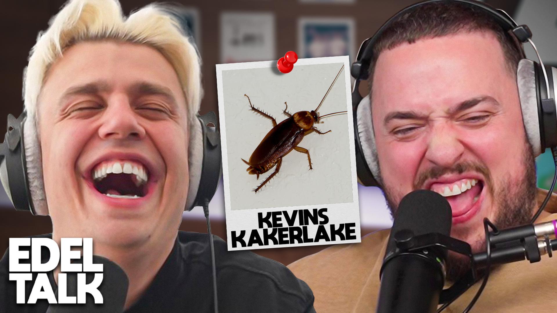 Das Kakerlakenproblem (#355)