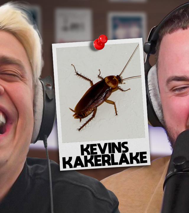 Das Kakerlakenproblem (#355)