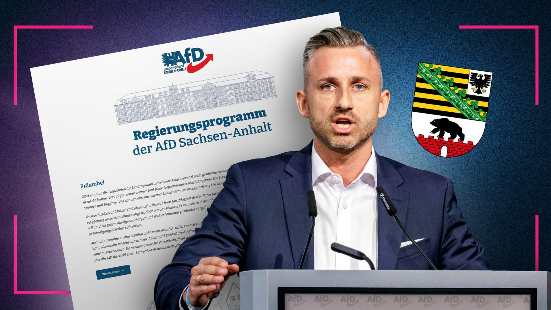 Bild für Das könnte passieren, wenn die AfD in Sachsen-Anhalt regiert
