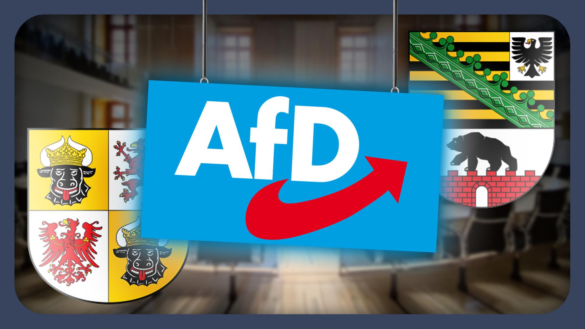 Das könnte passieren, wenn die AfD regiert - Landtagswahlen 2026