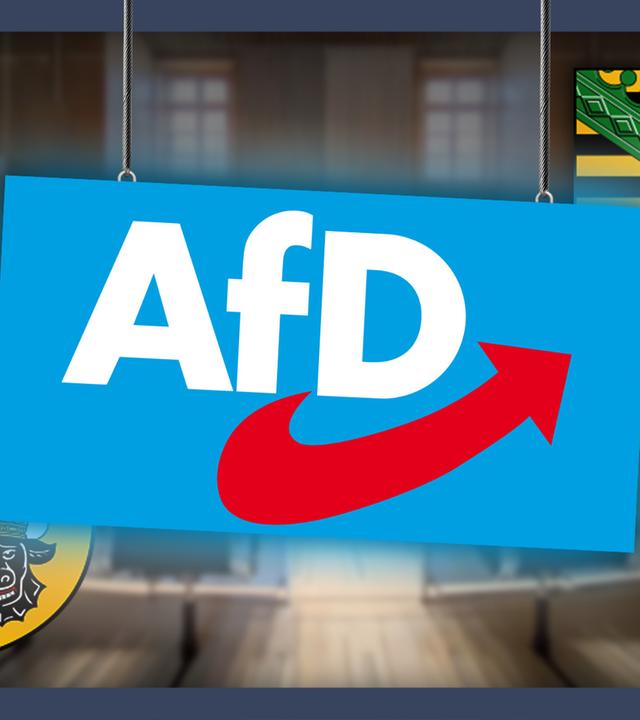 Das könnte passieren, wenn die AfD regiert - Landtagswahlen 2026