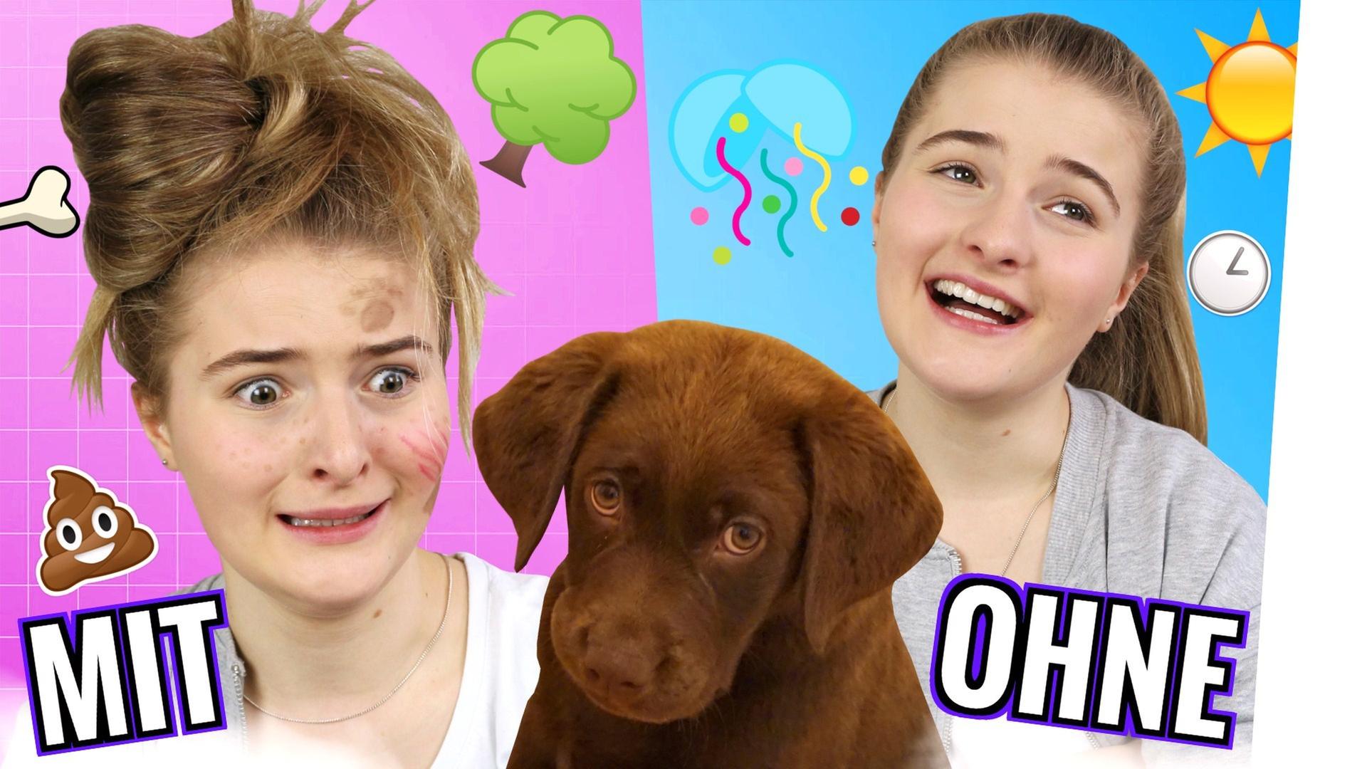 Das Leben MIT und OHNE Hund