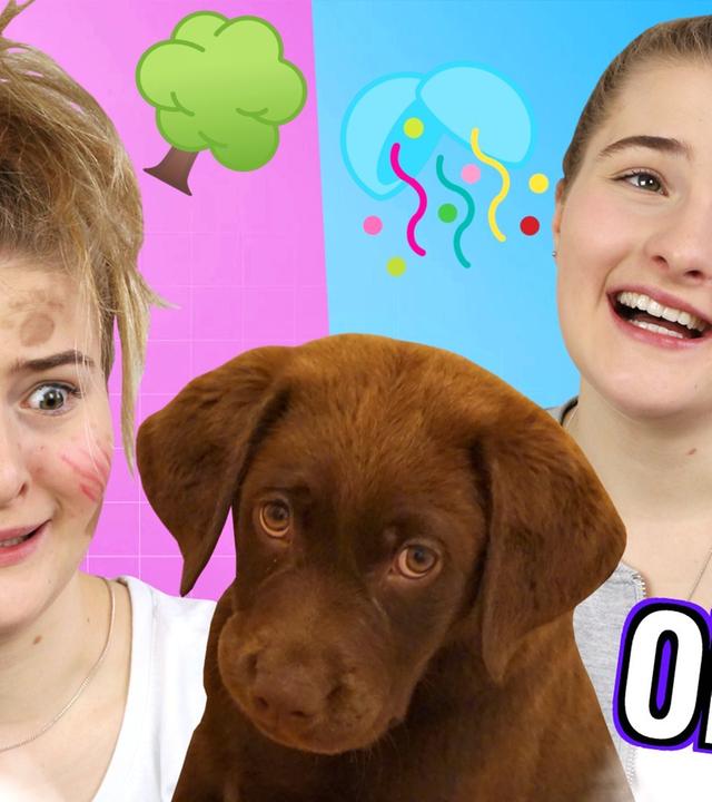 Das Leben MIT und OHNE Hund