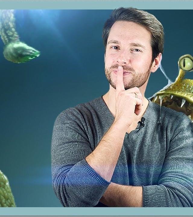 Das passiert, wenn wir Aliens finden (oder sie uns)