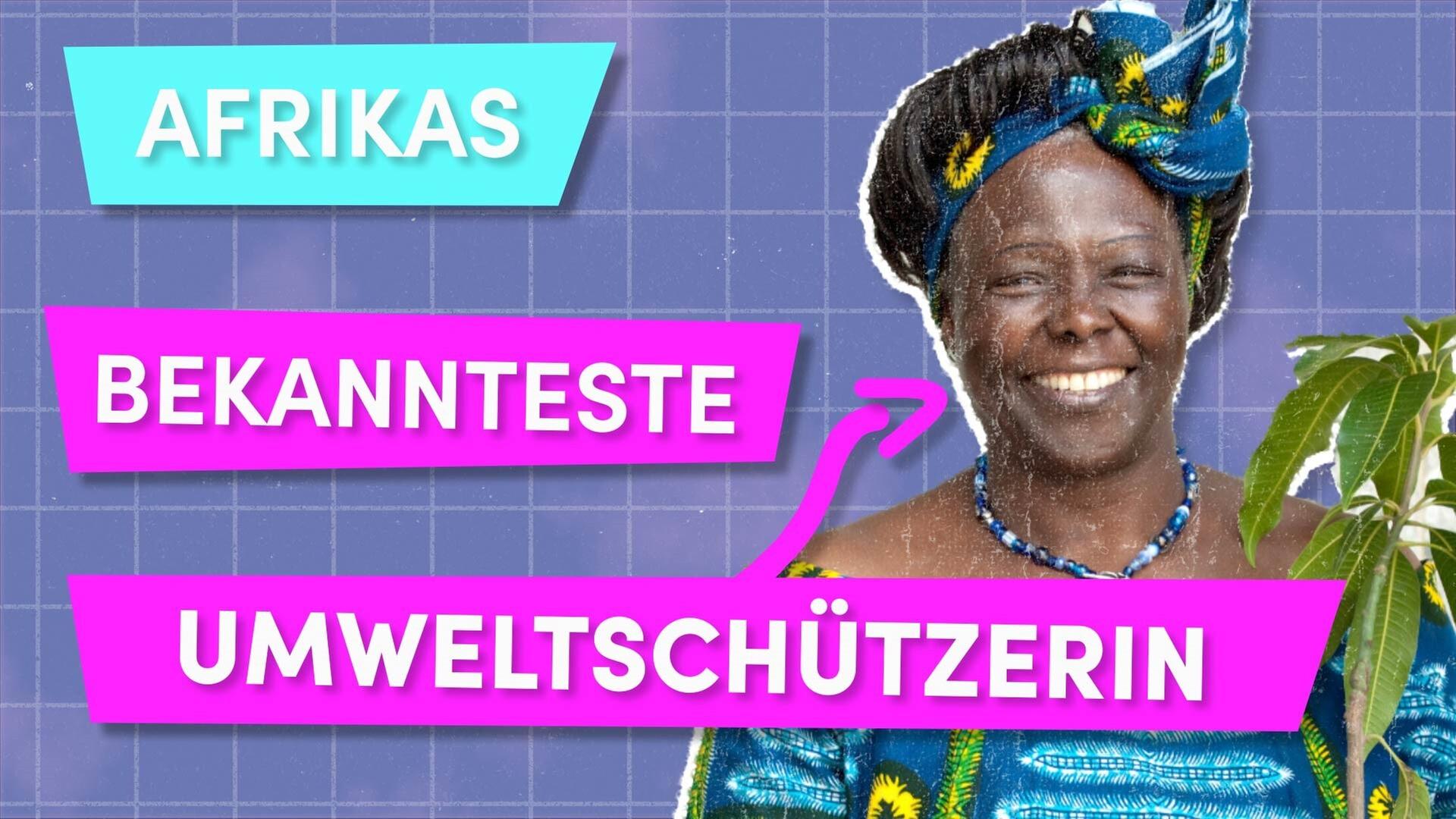 Das unfassbare Leben der Wangari Maathai - Say What