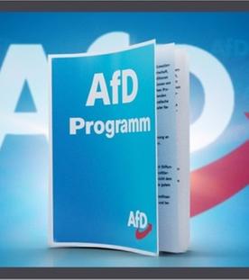 Das Wahlprogramm der AfD erklärt - Bundestagswahl 2021