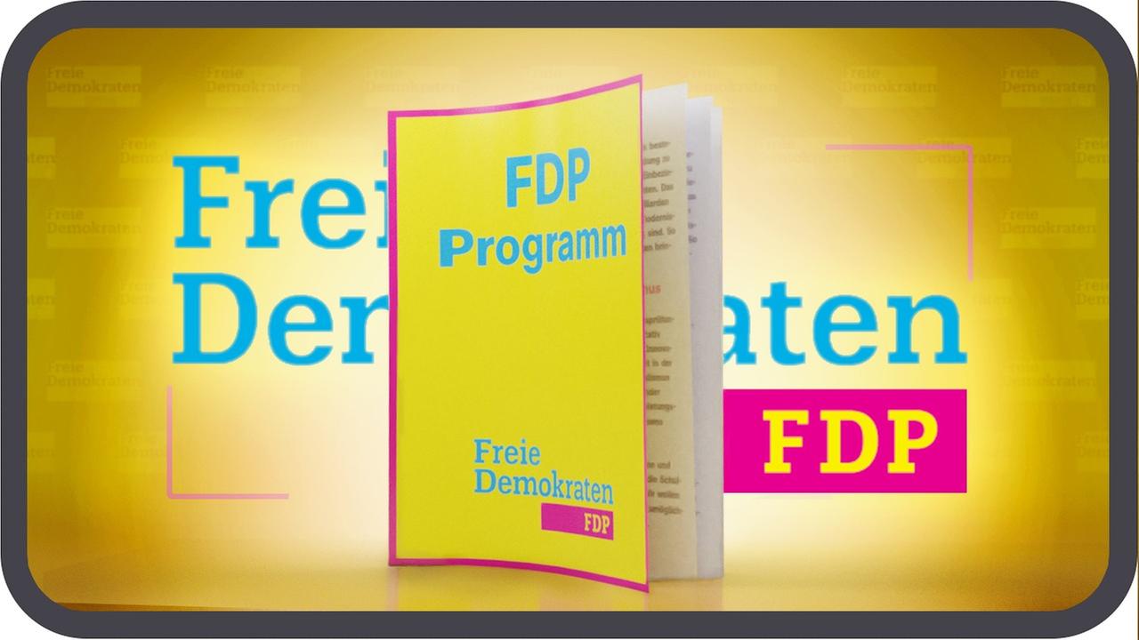 Das Wahlprogramm der FDP erklärt - Bundestagswahl 2021