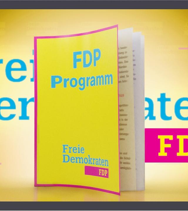 Das Wahlprogramm der FDP erklärt - Bundestagswahl 2021