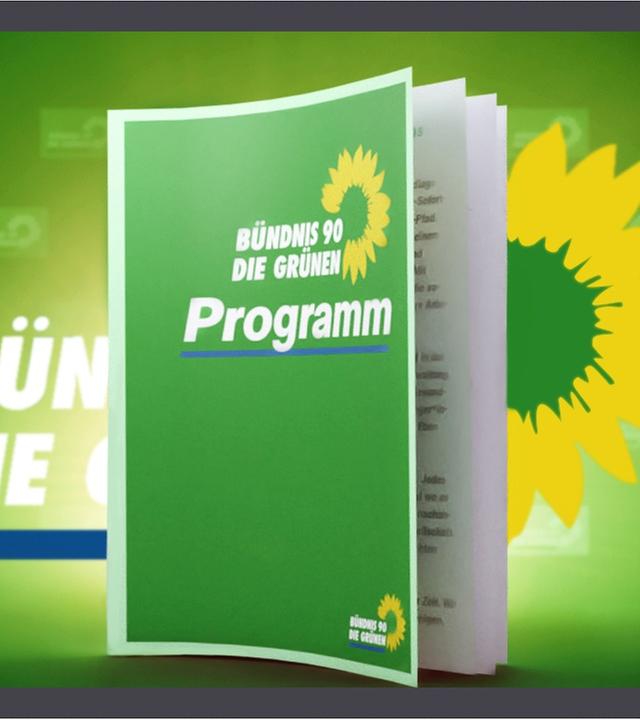 Das Wahlprogramm der Grünen erklärt - Bundestagswahl 2021