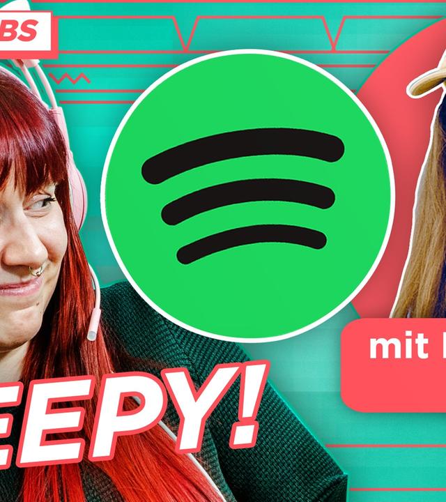 Das weiß Spotify über DICH! (LUNA exposed ihre DATEN)