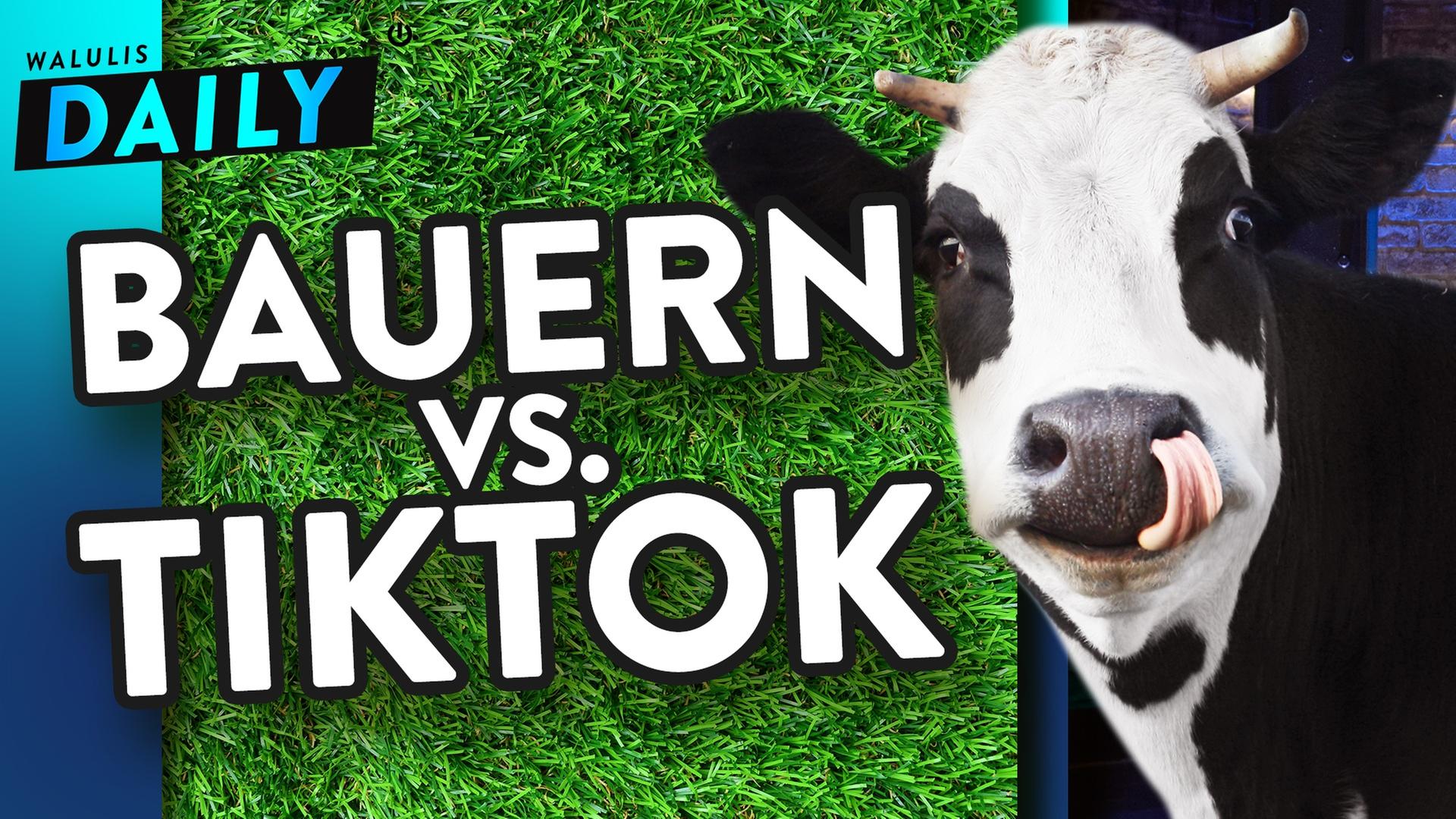 Deppen belästigen Kühe für Klicks, Bauern schlagen zurück - WALULIS DAILY