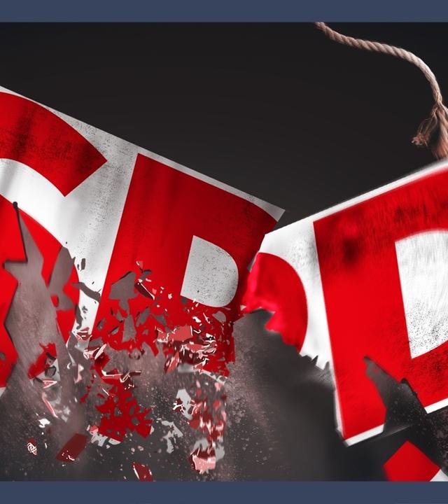 Der Absturz der SPD. Das sind die Gründe!