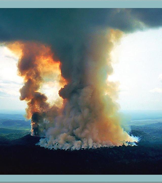 Der Amazonas brennt! Warum das vielen egal ist - #mirkosmeinung