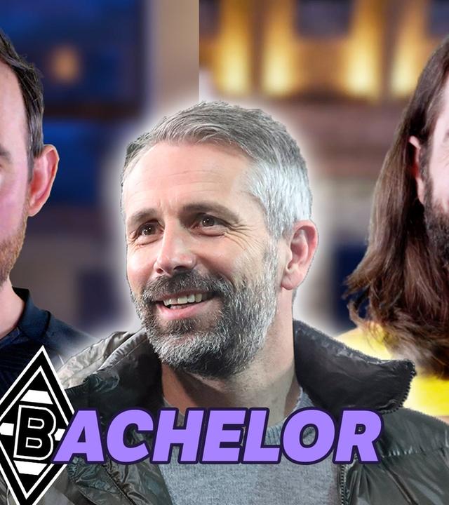 Der Bachelor - Dortmund bekommt Rose