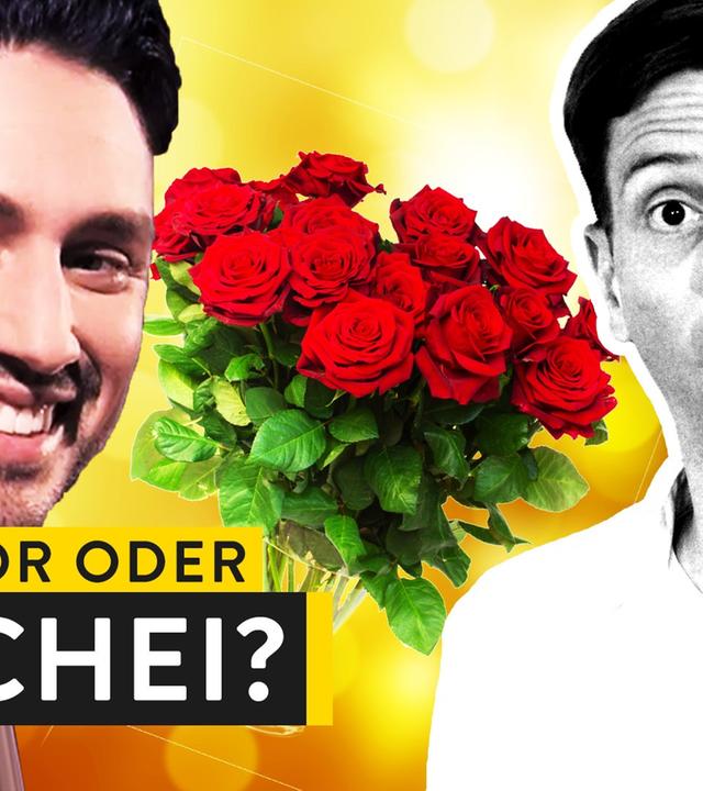 Der Bachelor: Weichgespült? - WALULYSE