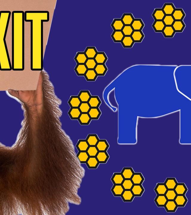 Der Brexit - ein Phänomen der Tierwelt [Mockumentary]