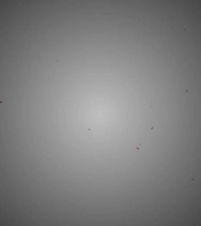 Der Julian Bam-Teaser