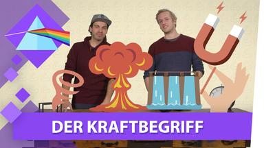 Der Kraftbegriff - Physik musstewissen