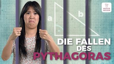 Der Satz des Pythagoras I musstewissen Mathe