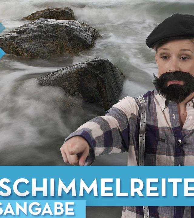 Der Schimmelreiter Inhaltsangabe Deutsch I musstewissen