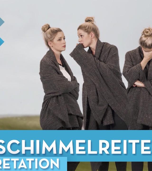 Der Schimmelreiter Interpretation - Deutsch musstewissen