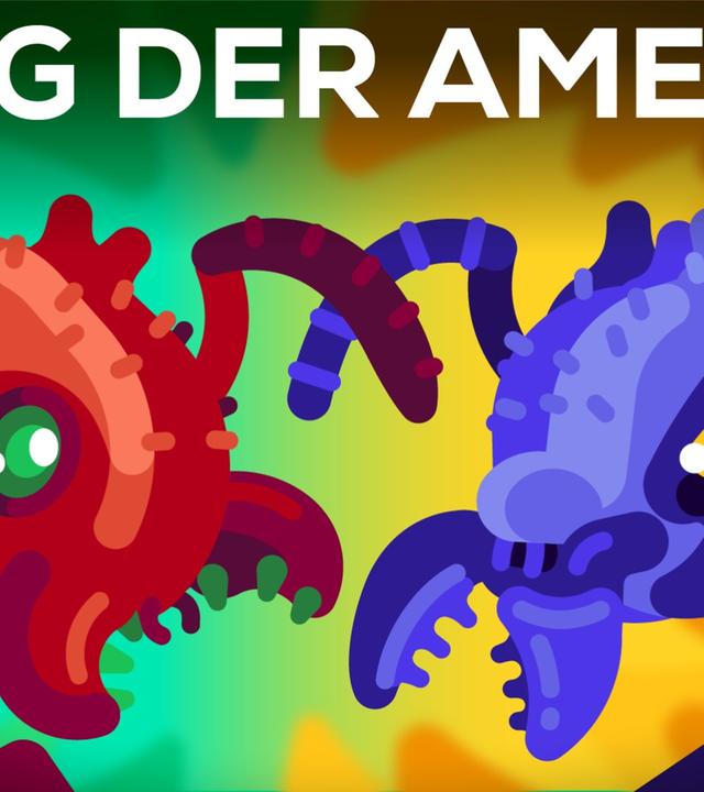 Der Weltkrieg der Ameisen - Die Wanderameise