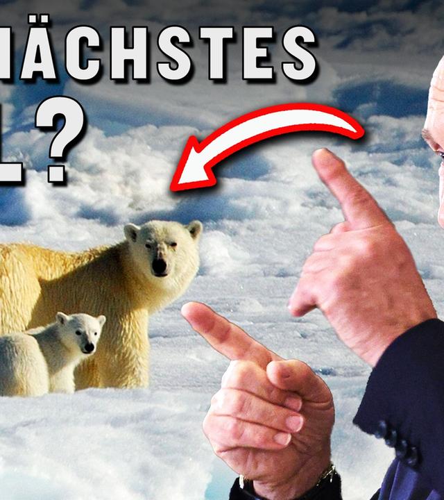 Deshalb droht in der Arktis der nächste Krieg I ATLAS