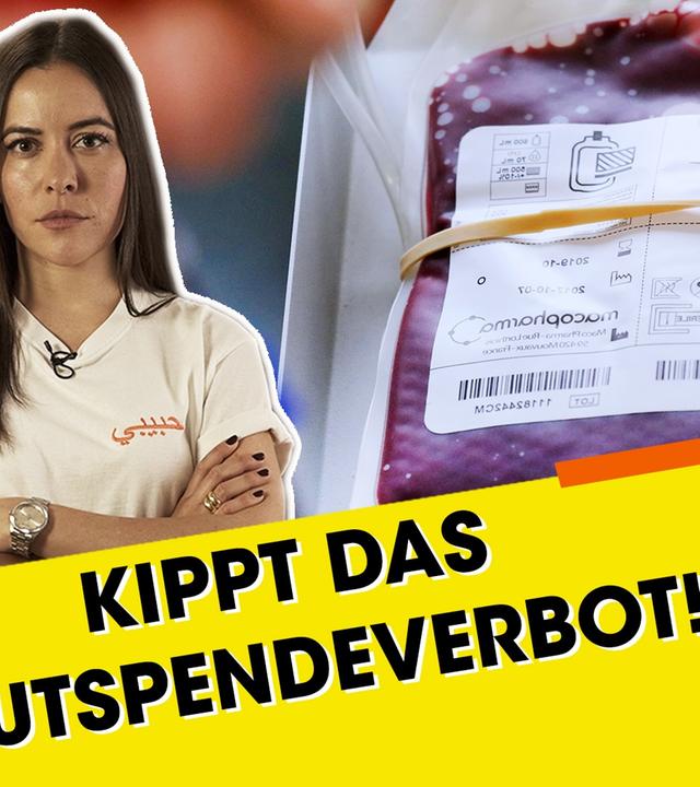 Deshalb dürfen Schwule kein Blut spenden!