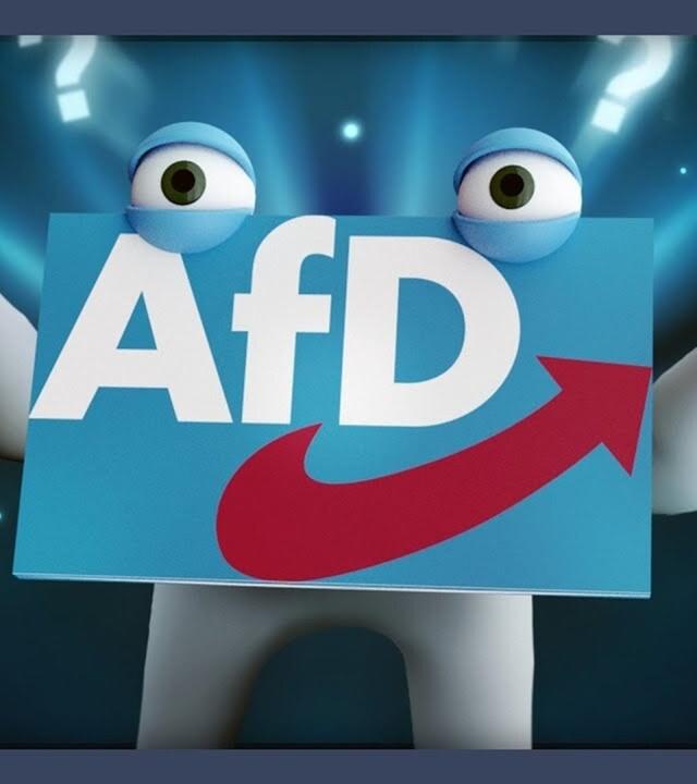 Deshalb ist die AfD gerade so erfolgreich