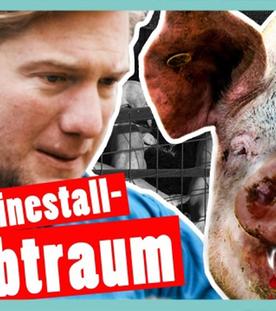 DGS - Bestrafung: Marc kriegt Panik im Schweinestall - DSDN