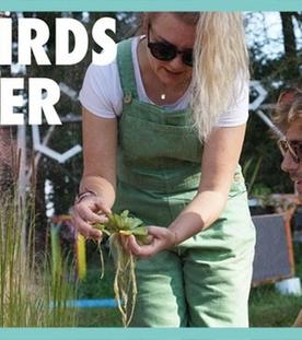 DGS - Flachwasserzone bauen - Klares Wasser im Teich - Kliemannsland