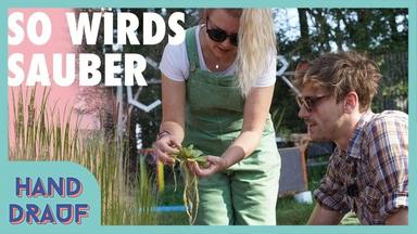 DGS - Flachwasserzone bauen - Klares Wasser im Teich - Kliemannsland