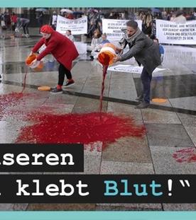 DGS - Vegane Aktivisten - Straftaten für Tierrechte!?