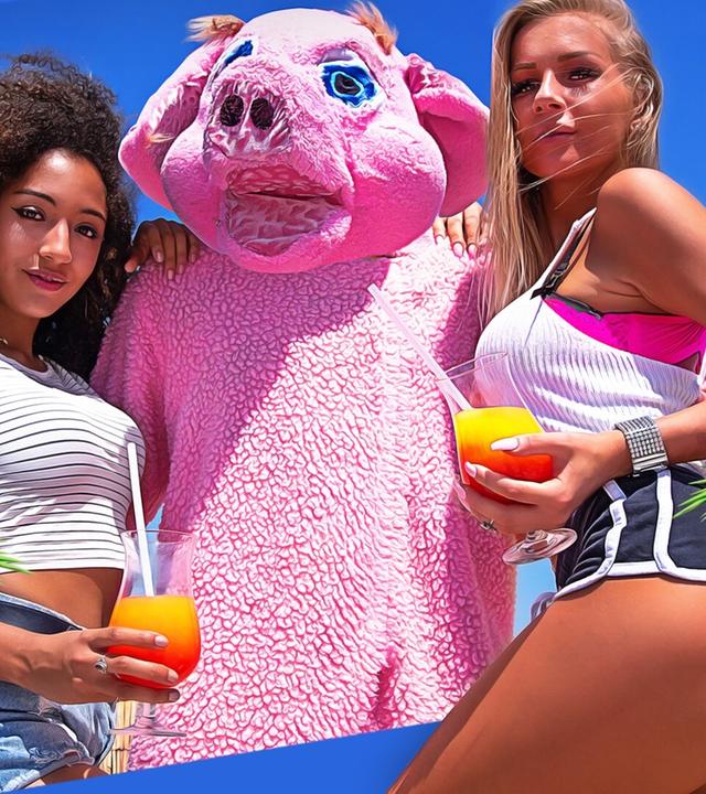 Dicht und Doof - Rudi das Rüsselschwein (Offizielles Musikvideo)