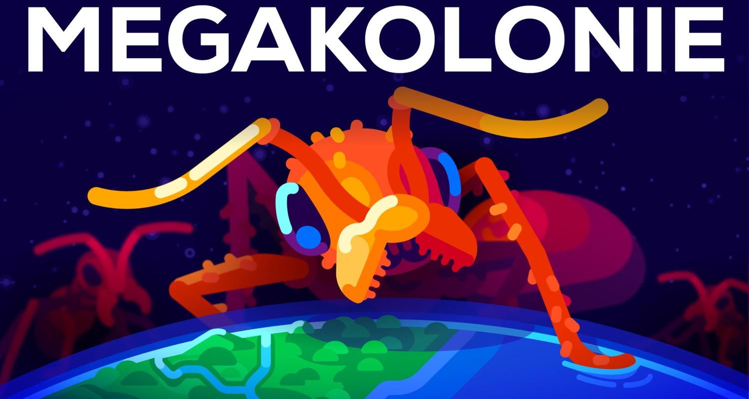 Die Ameisen Megakolonie und der größte Krieg der Welt