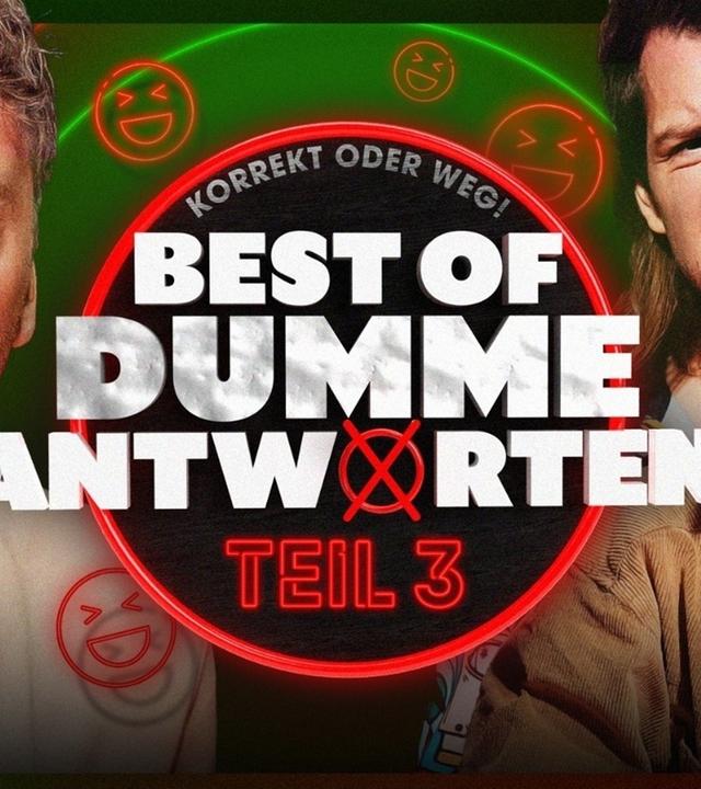 DIE DÜMMSTEN ANTWORTEN! - Teil 3 - KORREKT oder WEG!