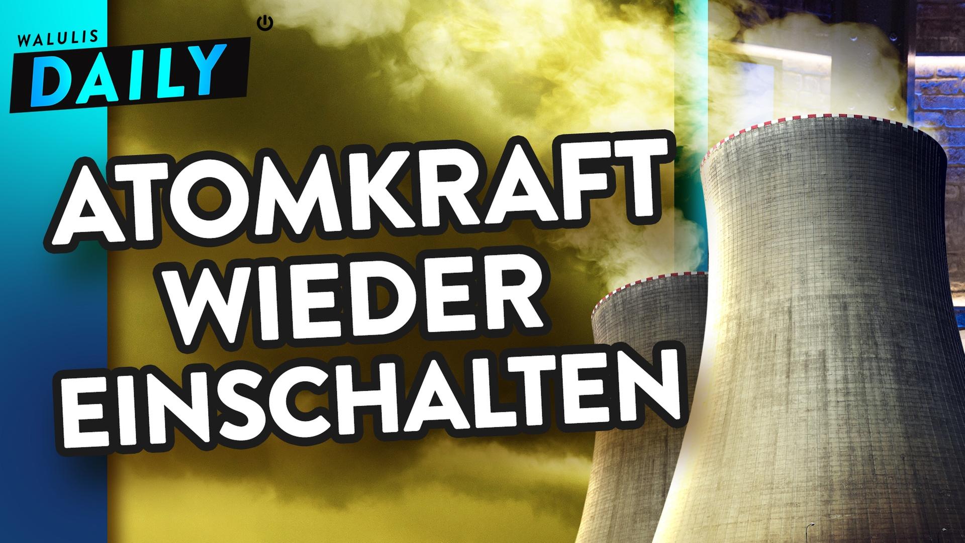 Die Fails auf der Klimakonferenz - WALULIS DAILY
