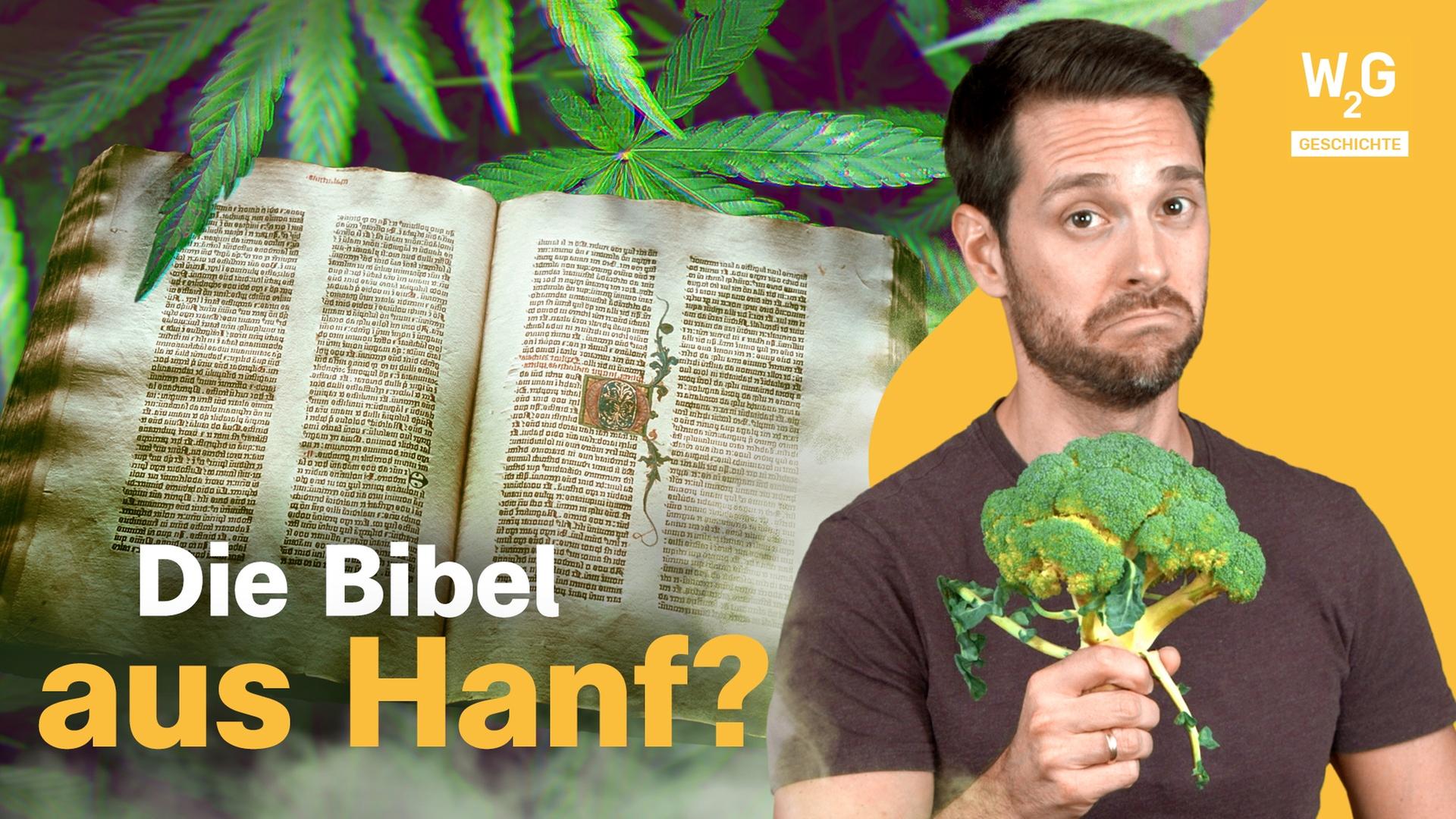 Die Geschichte des Cannabis: Von Verbot bis Legalisierung