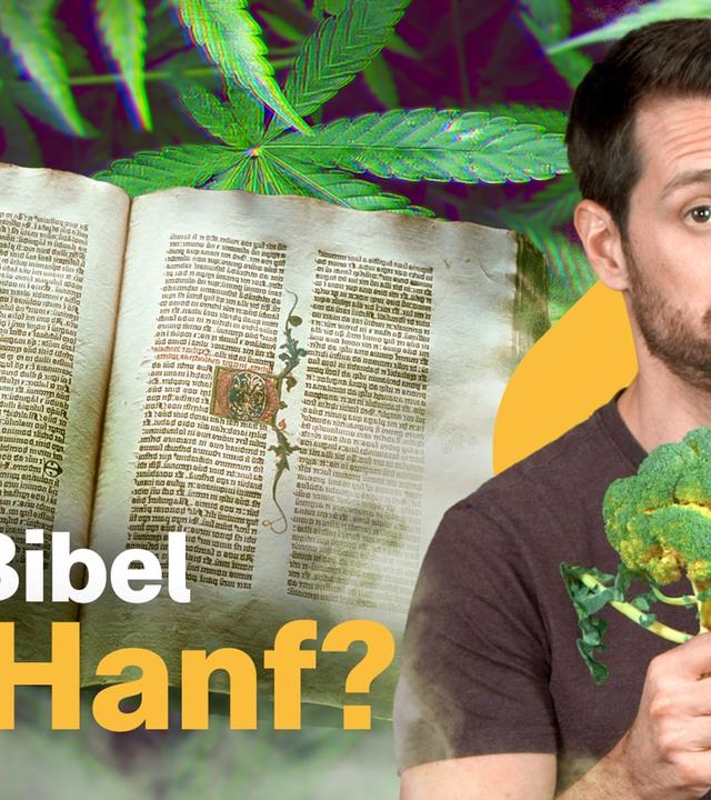 Die Geschichte des Cannabis: Von Verbot bis Legalisierung