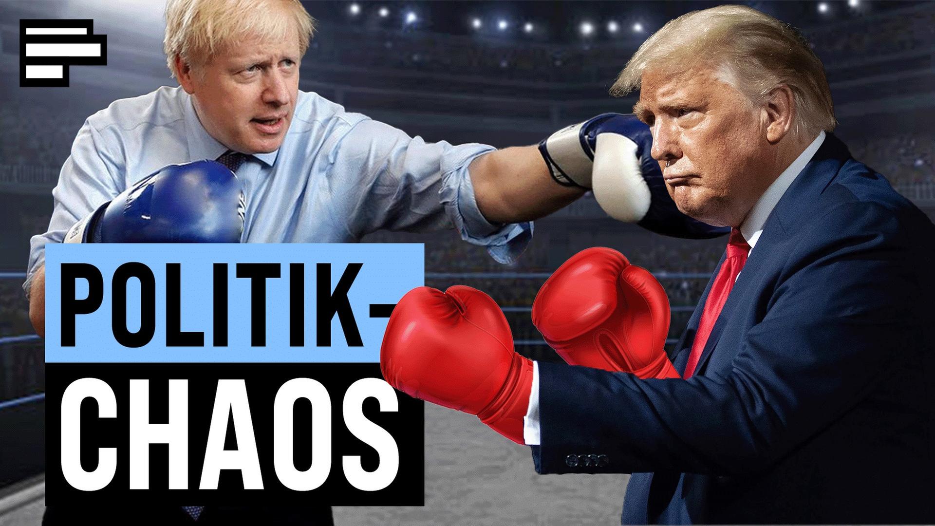 Die größten Wahl-Aufreger: International Edition