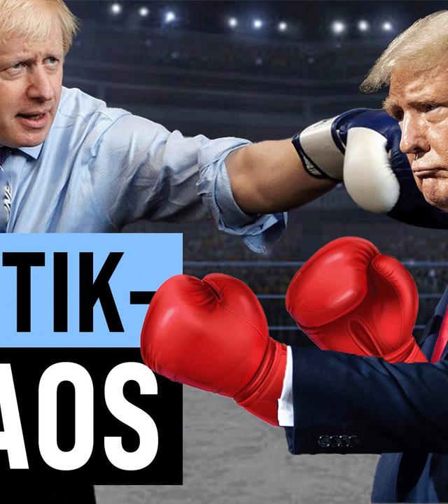 Die größten Wahl-Aufreger: International Edition