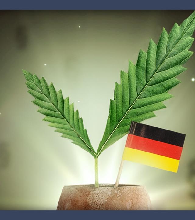Die Legalisierung kommt! Und jetzt?