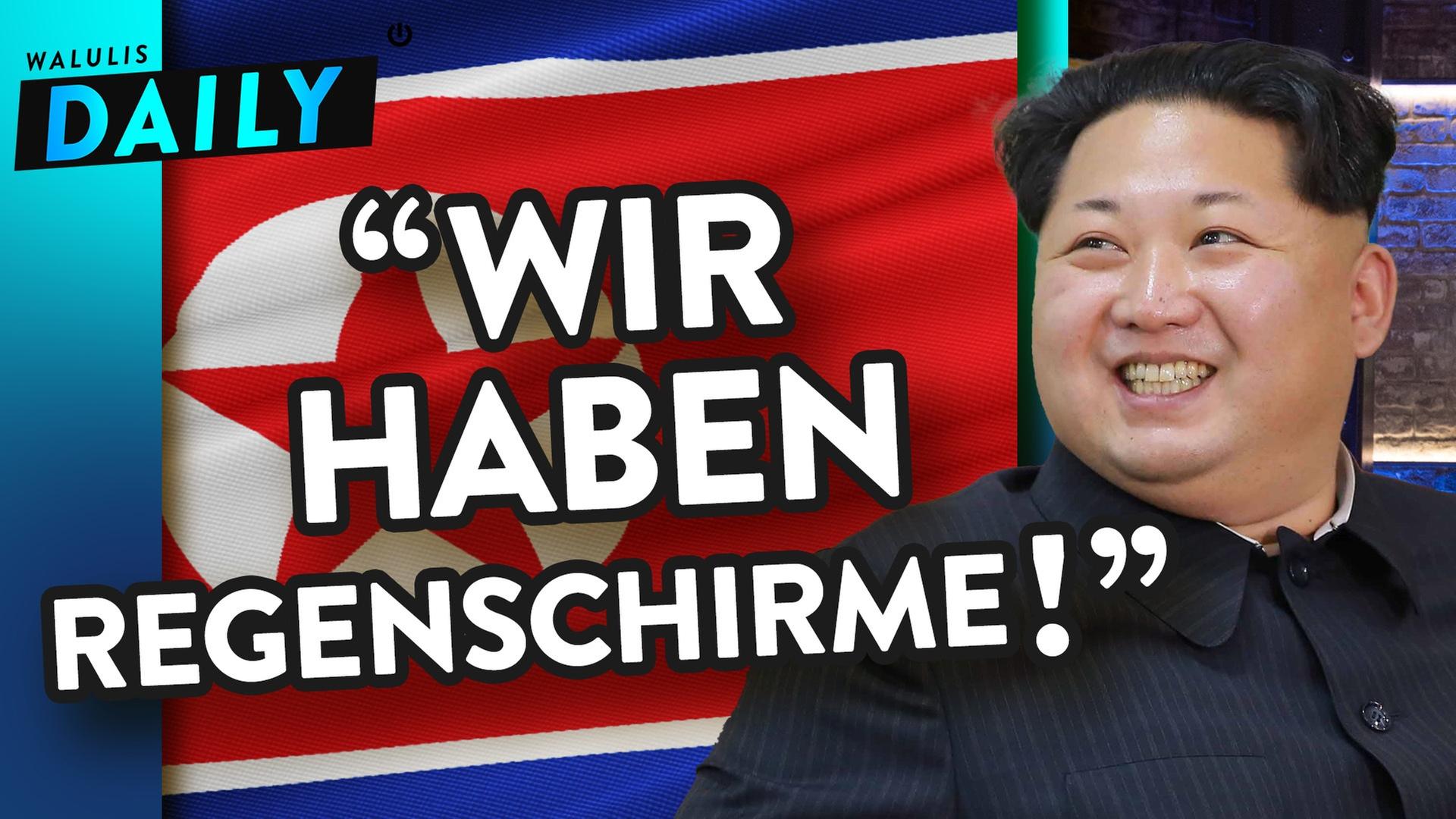 Die mega lustige Feel-Good Propaganda von Nordkorea - WALULIS DAILY