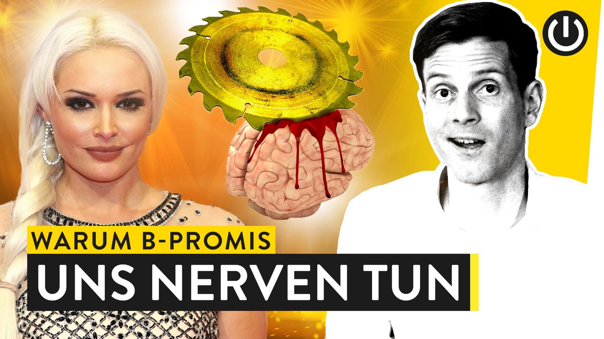 Die Nervensägen der Nation: B-Promis - WALULYSE