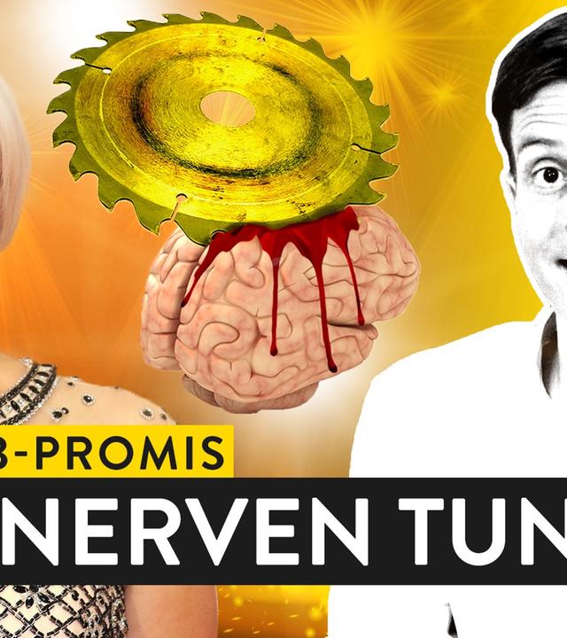 Die Nervensägen der Nation: B-Promis - WALULYSE