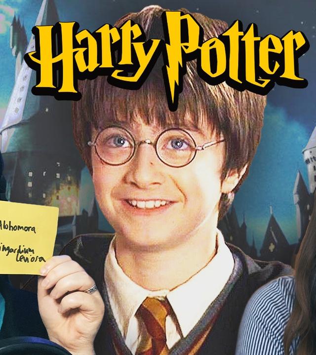 DIE REVANCHE - das HARRY POTTER QUIZ mit @coldmirror - Teil 2