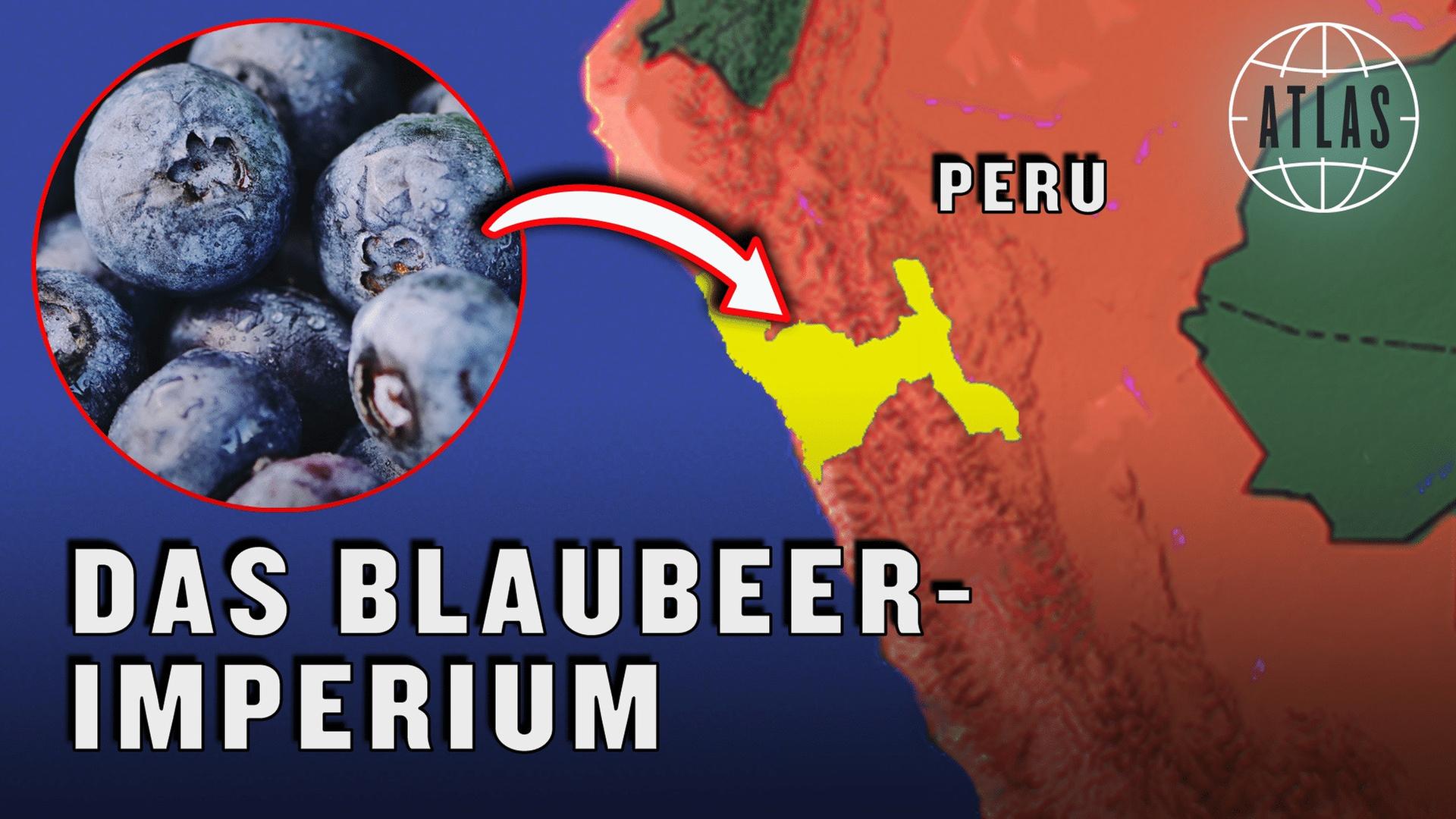 Die Schattenseiten des gigantischen Blaubeer-Booms